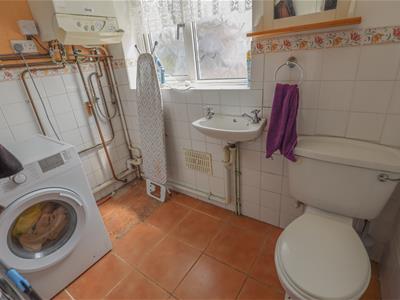 Picture 7